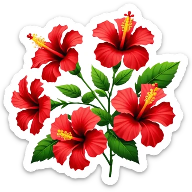 hibiscus flowers sticker