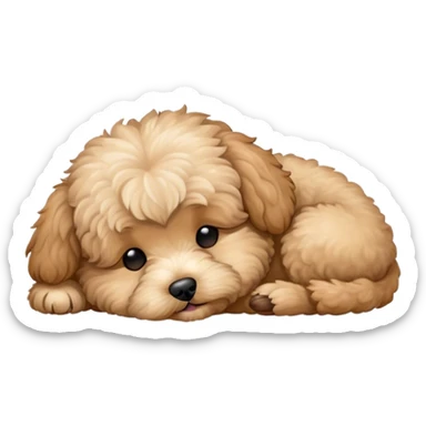 Maltipu sleeps  sticker