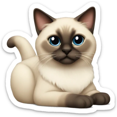 fluffy siamese cat sitting sticker