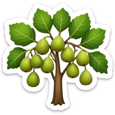 fig tree  sticker