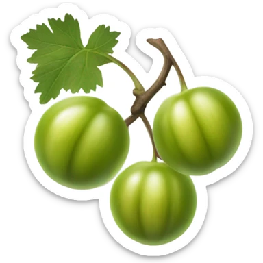 gooseberry sticker
