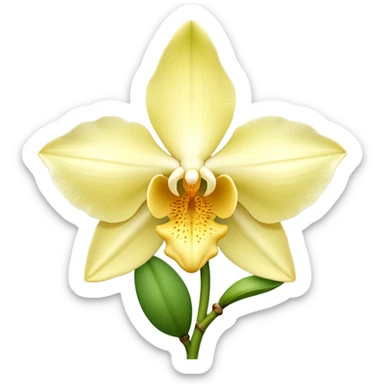 realistic vanilla orchid, full bloom, pale yellow to creamy white petals, trumpet-shaped center, gentle curvature, fine petal texture, optional green stem or vanilla pod, no background, no leaves, no decorative elements, no faces, clean 3D, soft lighting, transparent background, emoji scale sticker