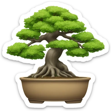 Bonsai tree sticker