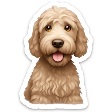Labradoodle  sticker