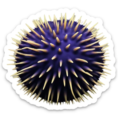 black sea ​​urchin sticker