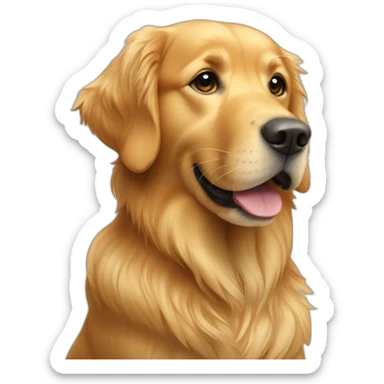 Golden retriever avec une ado sticker