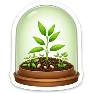 a pile of seeds at the right side and a germinating seed under a glass dome at the right side . Transparent background sticker