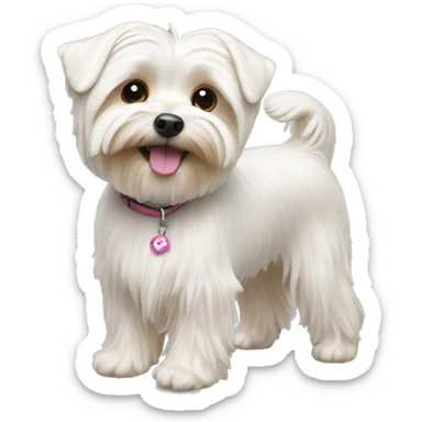 White morkie  sticker