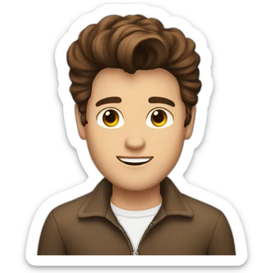 Guy with short brown wavy Elvis like hair and jumper sticker