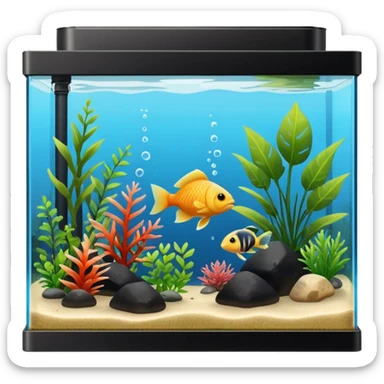 big, square fish tank with live plants and black substrate sticker