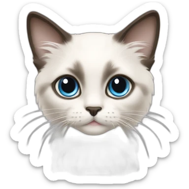 ragdoll kitten with off-white with darker ears sticker