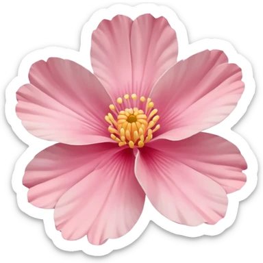 coquina flower sticker
