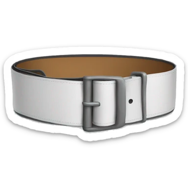 Belt sticker