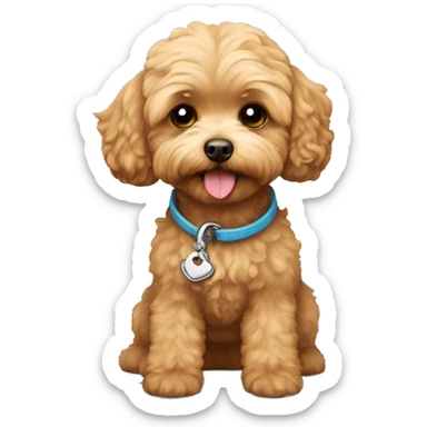 soft brown Maltipoo whit yellow dog leash sticker