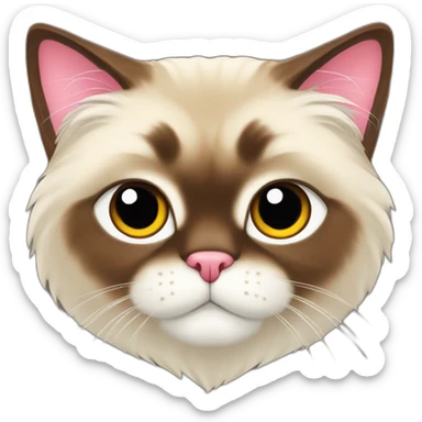 Himalayan cat in red heart sticker