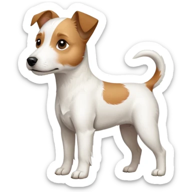 a full body slightly chubby white parson russell terrier looking dog the size of a kelpie with light brown long ears and a light brown patch on one eye and a large snout. the rest of the dog is completely white sticker