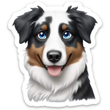 Black and white Australian shepherd dog with blue eyes  sticker
