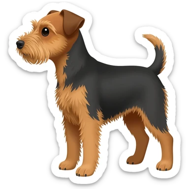 Terrier bicolor con orejas caidas sticker