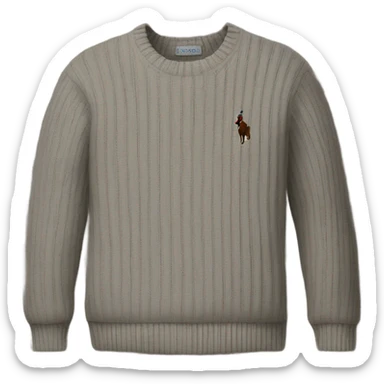 Ralph Lauren jumper  sticker