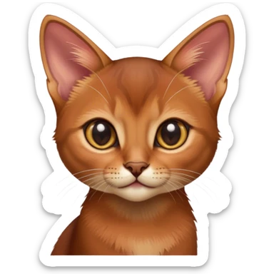Abyssinian kitten sticker