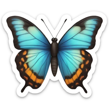 Butterfly  sticker