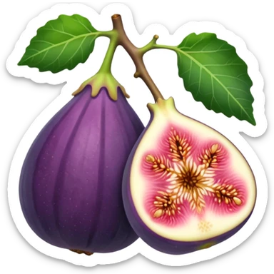 fig sticker