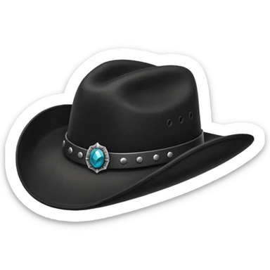 black cowboy hat with a black feather sticker