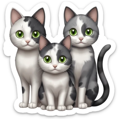 3 different coloured small cats including a dark grey and white, and a patchy calico with hazel eyes and a completely solid dark grey with green eyes and only white paws sticker