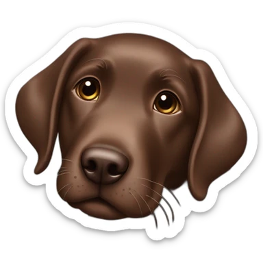 Chocolate labrador puppy give me five sticker