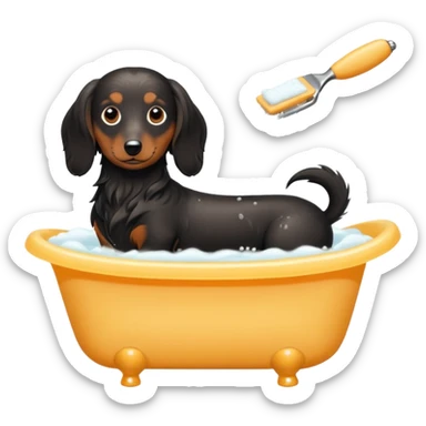 Black and cream Long haired Dachshund getting bath and haircut sticker