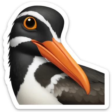 american oystercatcher bird sticker