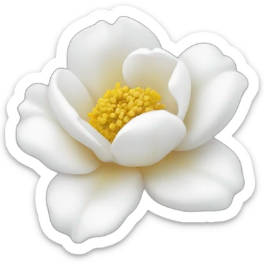 Flor Rosa blanca sticker