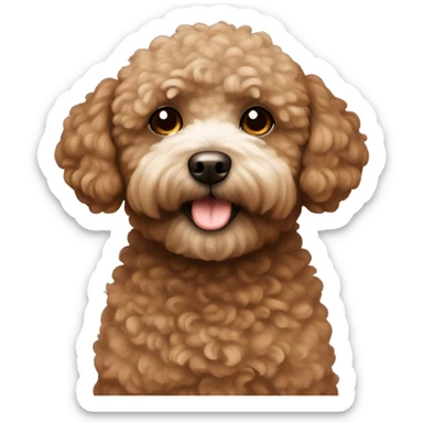 brown bichpoo with a little bit of white fur around nose sticker