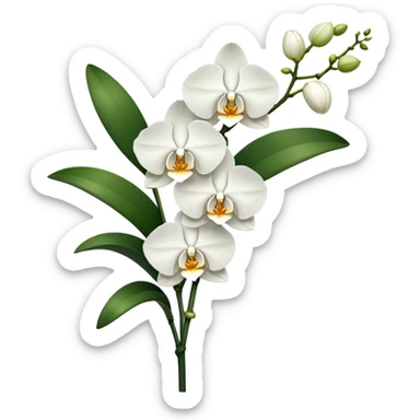 Single elegant orchid stem with several blooms on one stalk and a few green leaves at the base sticker