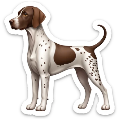 German Shorthaired Pointer Dog Breed Full Body sticker