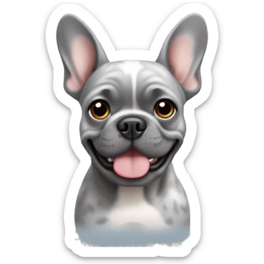 grey merle french bulldog sticker