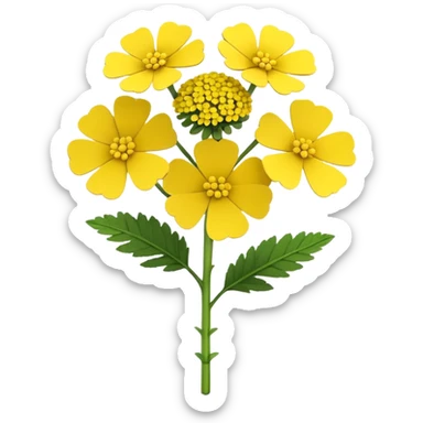 yellow yarrow flower, cartoon style, volumetric 3D iOS style, no smiles, bright colors, soft lighting, smooth shadows, modern cartoon Apple approach sticker