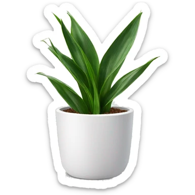 Snake plant in white pot sticker