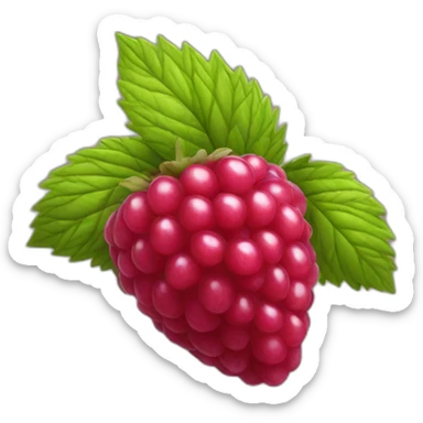 framboise fruit sticker