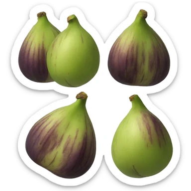 Figs sticker