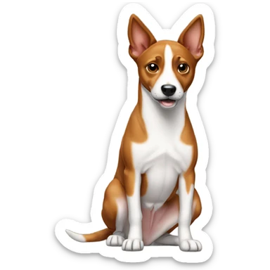Basenji shrugging sticker