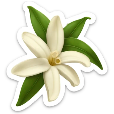 vanilla bean with flower sticker