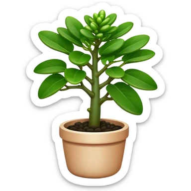 Cinematic Realistic Jade Plant Emoji, Thick and glossy, with dark green, round leaves that shine under the light. The sturdy stems and vibrant foliage give a sense of prosperity and tranquility. Soft glowing outline, capturing the essence of good luck, growth, and natural elegance in a flourishing jade plant! sticker