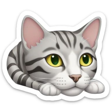 light gray tabby cat with white stripes domestic short hair with yellow green blue eyes and black pupil sleeping sticker