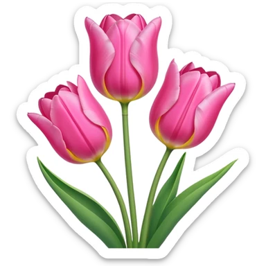pink tulips sticker