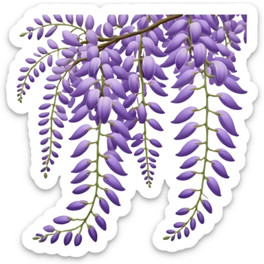 Japanese style wisteria (fuji) flower in elegant ukiyo-e inspired design, cascading purple blooms hanging like in traditional Japanese gardens, with gentle curved lines sticker