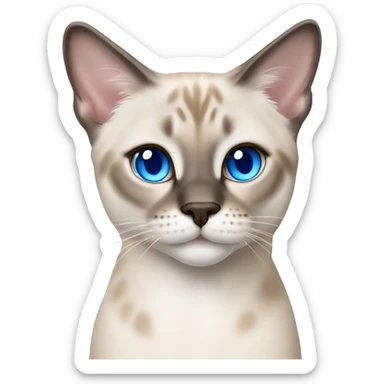 Lynx point Siamese cat with blue eyes  sticker