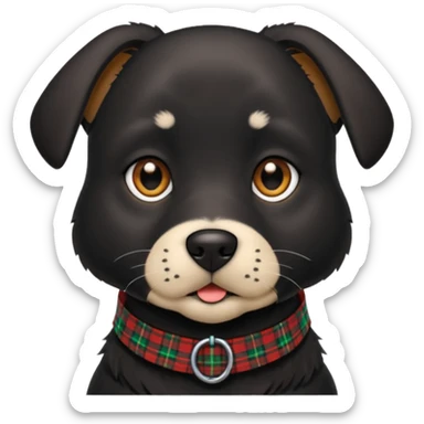 Medium size black dog with pointed face tartan collar sticker