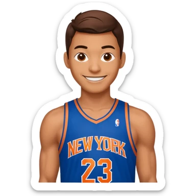Spiderman new york knicks sticker