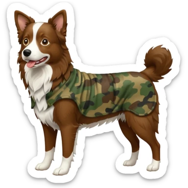 Brown border collie wearing camo full body sticker